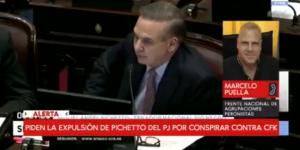 Puella pide la expulsión de Pichetto del Partido Justicialista